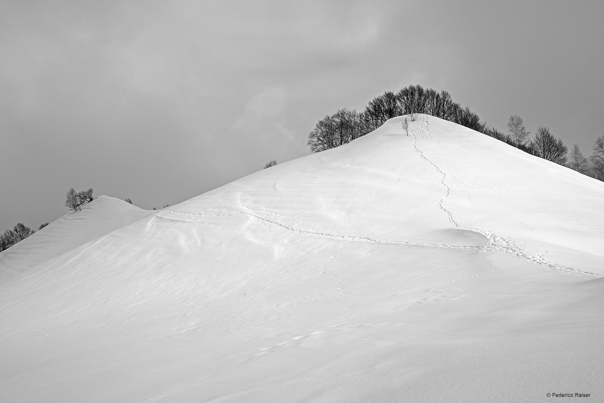 _RAI3050_BIANCO-E-NERO