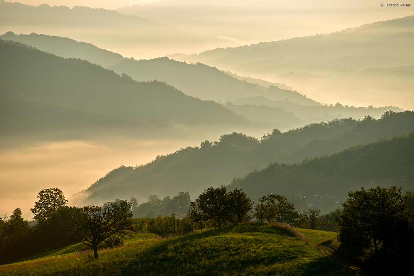 _FOT3973